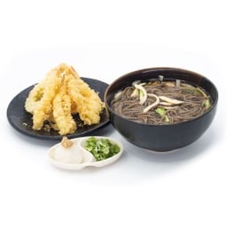 ALC-P001 Tenpura Soba