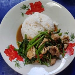 ผัดผักบุ้ง