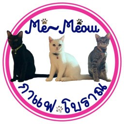 มีแมว~คาเฟ่ โกโก้ & ชา