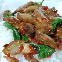 กระเพราหมูกรอบ(ราดข้าว)