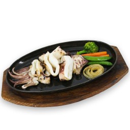 ALC-U007 Ika Steak
