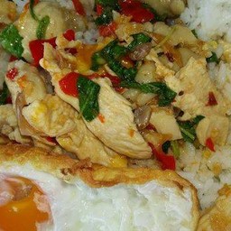 ข้าวกระเพรไก่