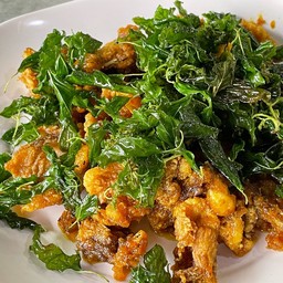 ปลาเก๋าพิโรธ