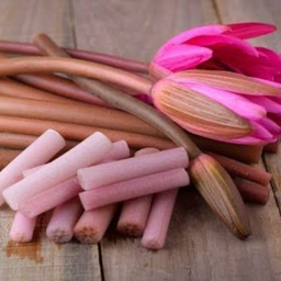 เพิ่ม สายบัว