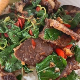 ร้านป้าเช้า อาหารตามสั่ง