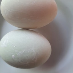 ไข่เค็ม