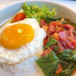 ข้าวกะเพราเบคอนไข่ดาว