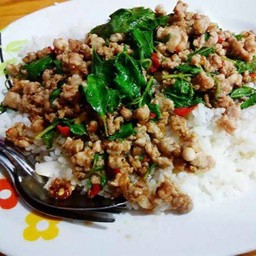 กะเพราไก่สับ