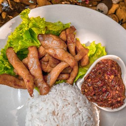 หมูมันร้า ดอนเมือง (หมูทอด, ผัดกะเพรา) ดอนเมือง