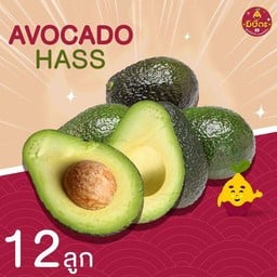 อะโวคาโด Avocado Hass Australia จำนวน 12 ลูก