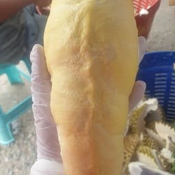 แก่เว้ยเฮ้ย