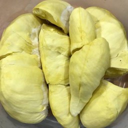 ทุเรียน หมอนทองปราจีน