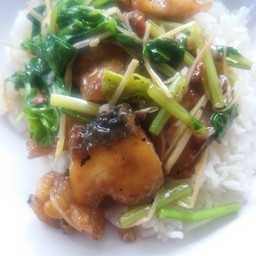 ผัดคื่นฉ่ายปลาช่อน