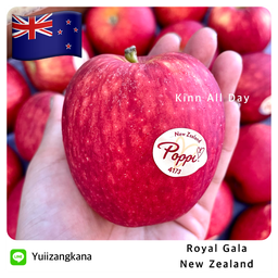 Royal Gala แอปเปิ้ลกาล่า