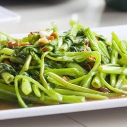 ผักบุ้งไฟแดงเจ