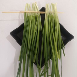 กุยช่าย