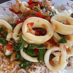 ข้าวกระเพราปลาหมึก