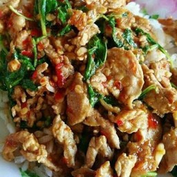 Stir Fried Basil With Pork On Rice