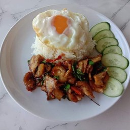 ผัดเผ็ดหมูป่าราดข้าว