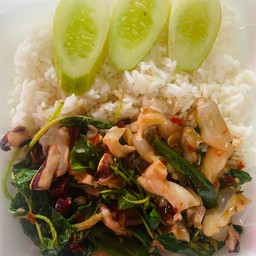 ข้าวกะเพราหมึก