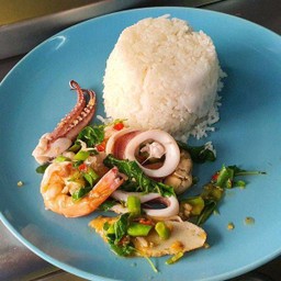 กระเพราทะเล