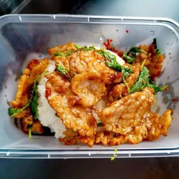 กะเพราหมูชิ้น (ราดข้าว)