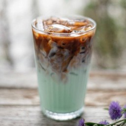 Iced Mint Caffè Latte