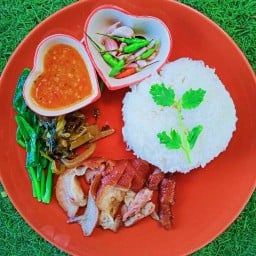 ข้าวขาหมู น้องไนน์