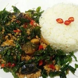 ข้าวกะเพรา ( หมูสับไข่เยี่ยวม้า )