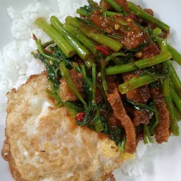 ผัดพริกแกงหมูกรอบผักบุ้งไข่ดาว