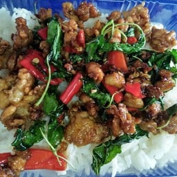 กะเพราหมูสับราดข้าว