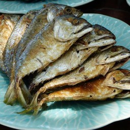 ปลาทูทอด/ตัว