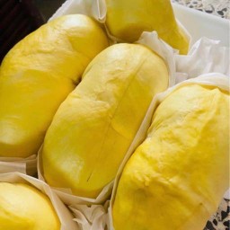 ทุเรียนหมอนทอง