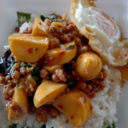 กระเพาหมูสับเต้าหู้ไข่(ฟรีไข่)เพิ่มข้าว