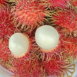 ภูพาน ผลไม้ตามฤดูกาล
