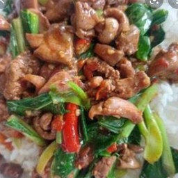 กะเพราเครื่องในไก่ (กับ)