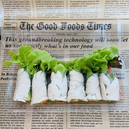 สลัดโรลอกไก่