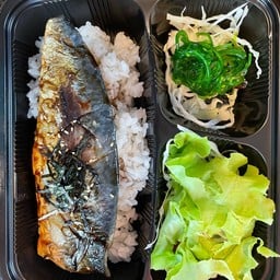 เบนโตะปลาซาบะย่างเทริยากิ สลัด