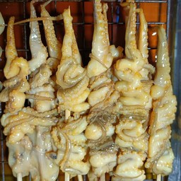 หนวดปลาหมึก ย่าง