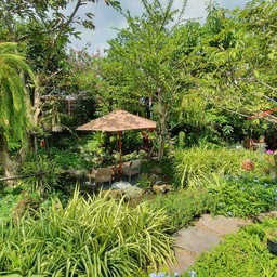 สวน ลำธาร น้ำตกจ๊ะ
