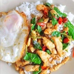 กระเพราไก่+ไข่ดาวราดข้าว