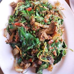 ผัดเผ็ดตะพาบน้ำ