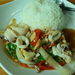 ข้าวผัดกะเพราปลาหมึก