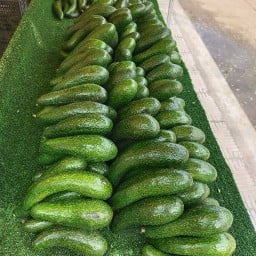 เฮียบาสทุเรียนซิ่ง สาขาตลาดโพศรี