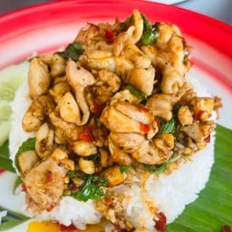 กะเพราไก่ราดข้าว