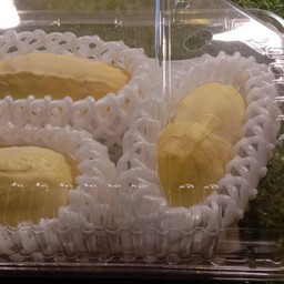 ทุเรียนหมอนทอง 500 กรัม เกรดพรีเมี่ยม