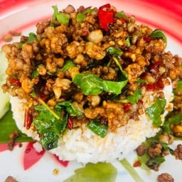 กะเพราหมูสับราดข้าว