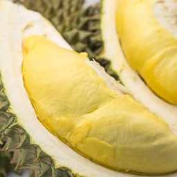 ทุเรียนหมอนทองแกะเนื้อ 2กิโลกรัม พรีเมี่ยม