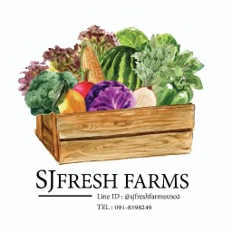 SJ FRESH FARMS ตลาดล้านเมืองเชียงราย