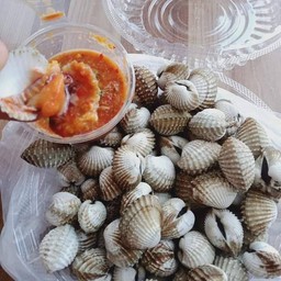 ร้านขายหอย